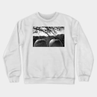 Nice Pair - Black and White Crewneck Sweatshirt